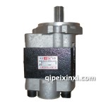 齒輪泵—CBHZ系列