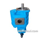 齒輪泵—雙聯(lián)泵