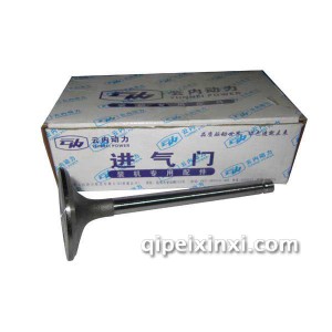 云内4102进气门