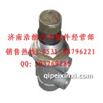 陕汽奥龙废气阀