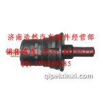 陜汽德龍門燈開關(guān)