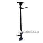 原廠海獅擺掛一軸