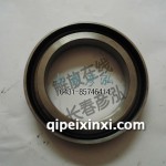 軸間齒套208141405