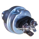 斯太爾電子機(jī)油感應(yīng)塞