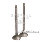 金杯輕卡云內進排氣門