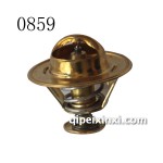 B54D5節(jié)溫器