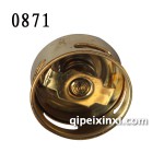 S65A5節(jié)溫器