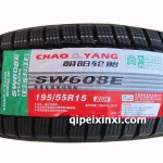 朝陽SW608冬季雪地胎