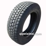 固特異W-IPN輪胎