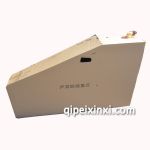 雪鐵龍全新愛麗舍葉子板