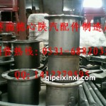 原廠陜汽德龍輪邊