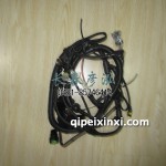 發(fā)動(dòng)機(jī)線束612600090850