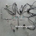 駕駛室車身儀表線束3724020DA01-B