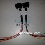 线束3724580-24W.AL02