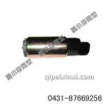 岳陽萬力：佳寶泵芯