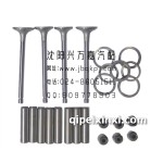 一汽哈輕小解放YND485氣門組合件