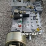 喷油泵总成6AW806锡柴CA6110Z1A1