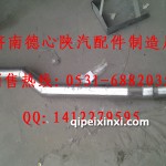 DZ96259534001