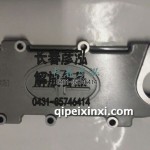 蓋1013021-36D