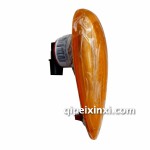 門側(cè)轉(zhuǎn)向燈