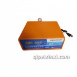 金蟬充電機(jī)80A數(shù)字型