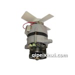 萬隆發(fā)電機(jī)長(zhǎng)軸3JF11T