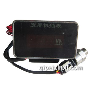 宽屏机油表(M14×1.5) 宽屏机油表(M14×1.5)