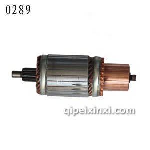 QDJ2810转子-0289 QDJ2810转子-0289