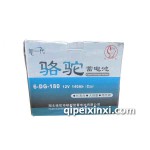骆驼6-DG-180蓄电池/电瓶