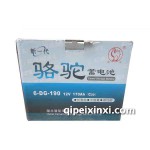 骆驼6-DG-190蓄电池