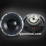 VW-M300C汽車音響 發燒級低音喇叭 低音揚聲器 低音炮單元 VW-M300C
