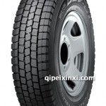 鄧祿普冬季胎DSV-01