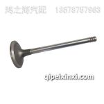 進(jìn)氣門(mén)F04284042