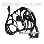 發(fā)動(dòng)機(jī)線(xiàn)束3724815A12