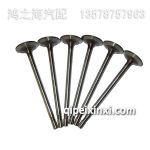 進氣門S1007011-1012