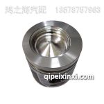 馬勒活塞1004016-D704