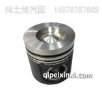 馬勒活塞D04255314