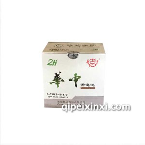 华中骆驼6-QWLZ-45蓄电池 华中骆驼6-QWLZ-45蓄电池