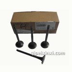 福田493進(jìn)氣門