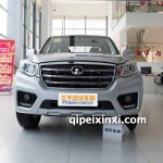 長(zhǎng)城風(fēng)駿6