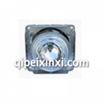 尼奧普蘭遠光燈