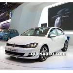 高爾夫 拆車鈑金件