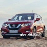 尼桑 拆車鈑金件