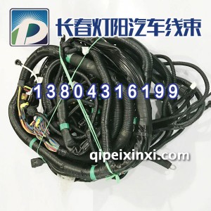 460马力寒区版国五系列