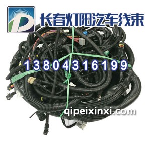 460马力南方版国五系列线束
