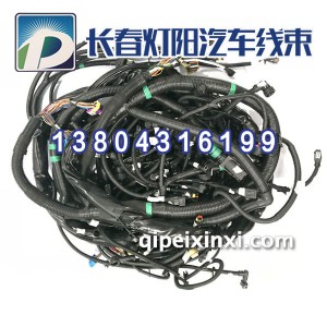 j6l厢式货车底盘线束