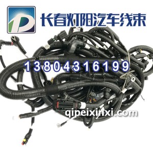 j6右车身线束解放