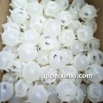 速騰-邁騰-防凍液壺