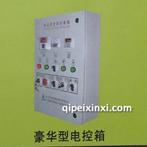 豪华型电控箱