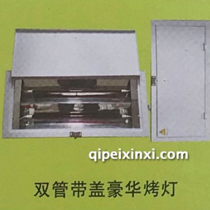 双管带盖豪华烤灯